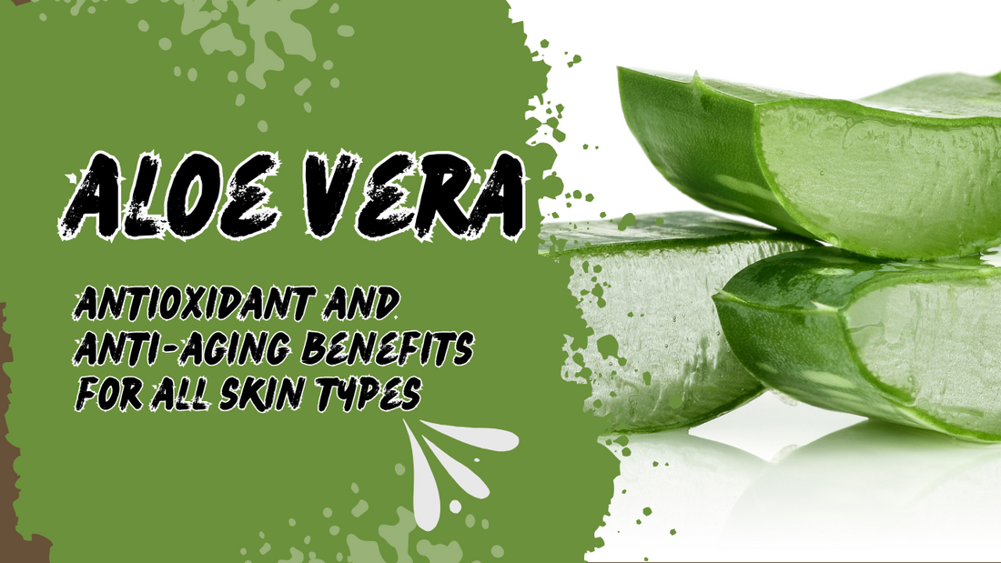 The Importance and Benefits of Aloe Vera for Skin Care