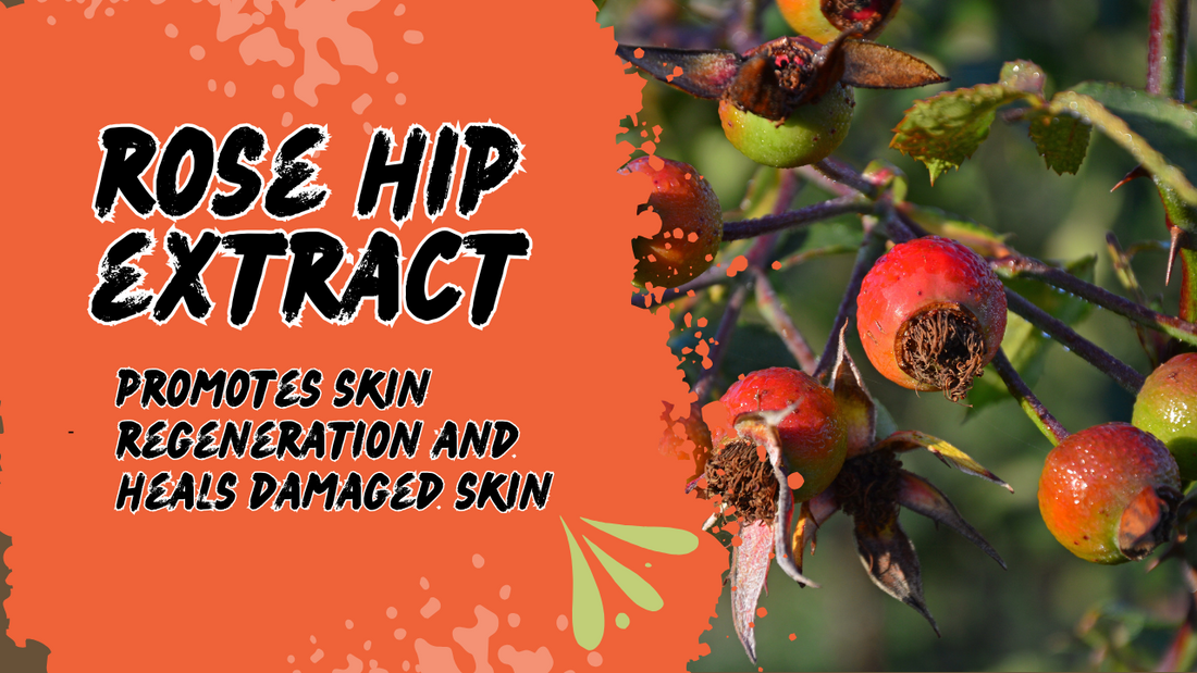 The Importance and Benefits of Rose Hip Extract for Skin Care