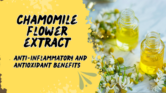 The Importance and Benefits of Chamomile Flower Extract for Skin Care