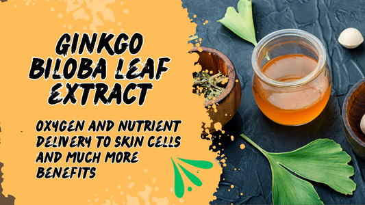 The Importance and Benefits of Ginkgo Biloba Leaf Extract for Skin Health